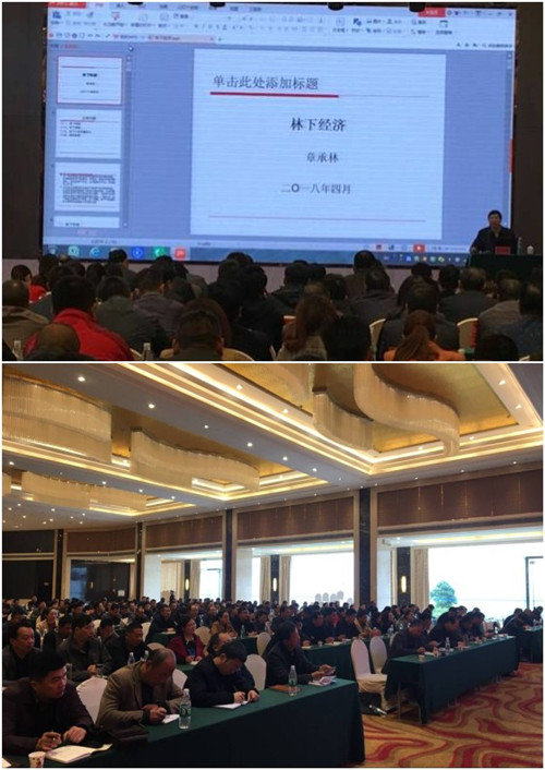 initpintu_副本.jpg
