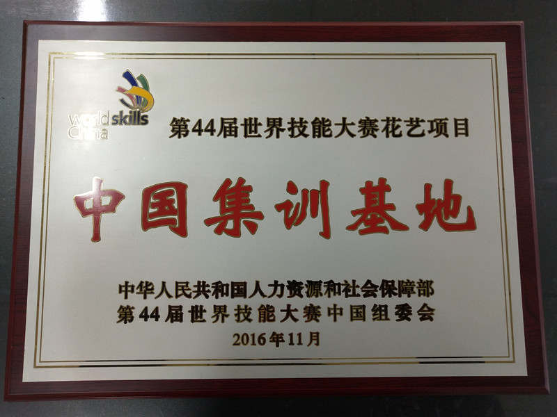 1651645203312655.jpg mmexport1565602736531_副本.jpg